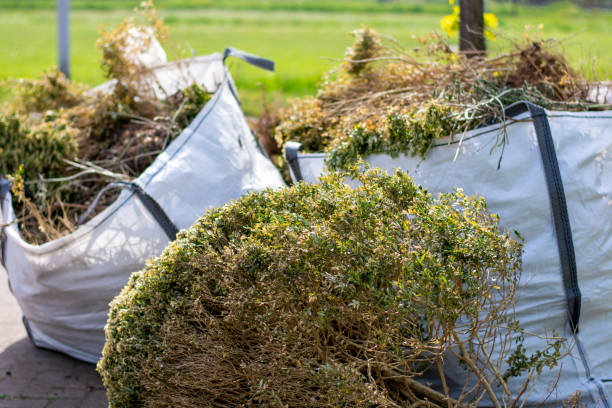 Best Household Junk Removal  in Monroe, IA